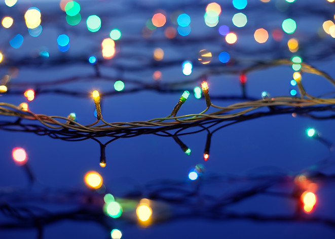 Christmas Lights on Trees