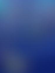 Recycle Christmas lights and other residential light bulbs Feb. 8 and 11, 2026