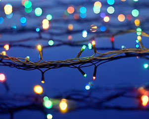 Christmas Lights on Trees
