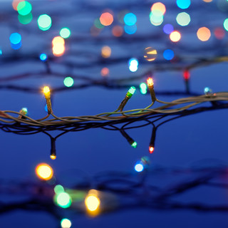 Christmas Lights on Trees