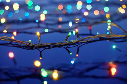 Christmas Lights on Trees