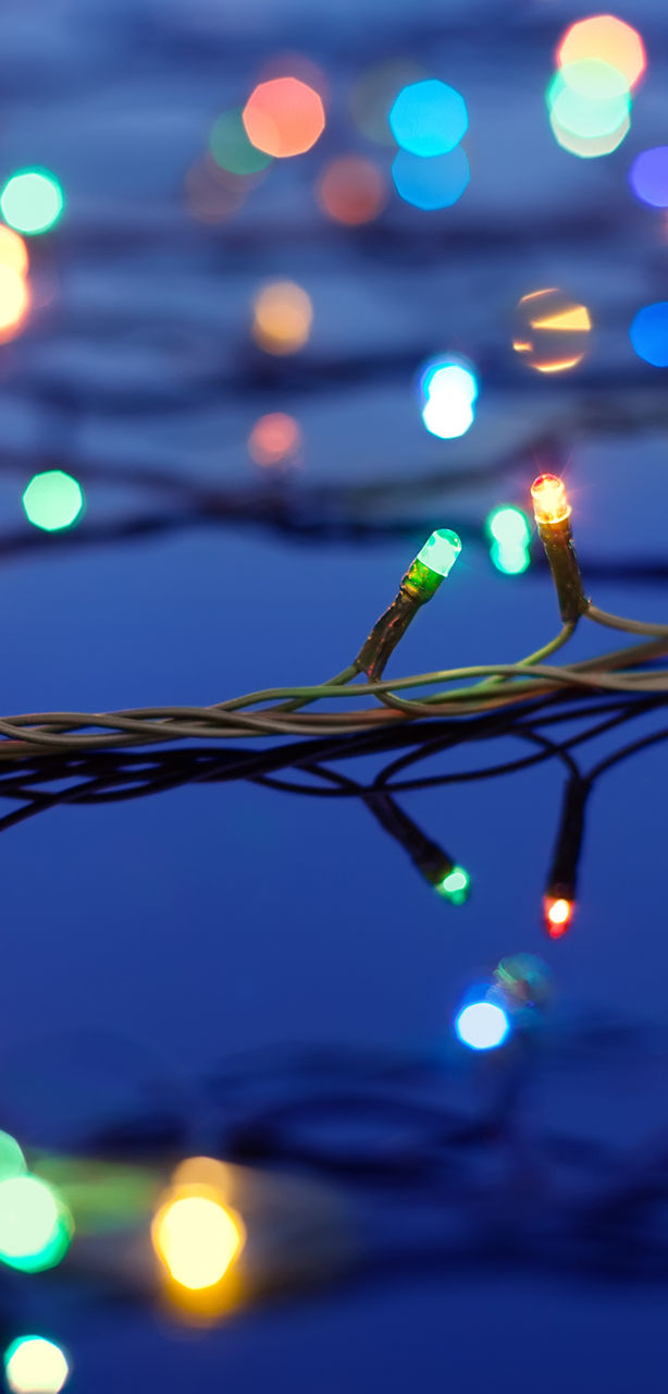Christmas Lights on Trees