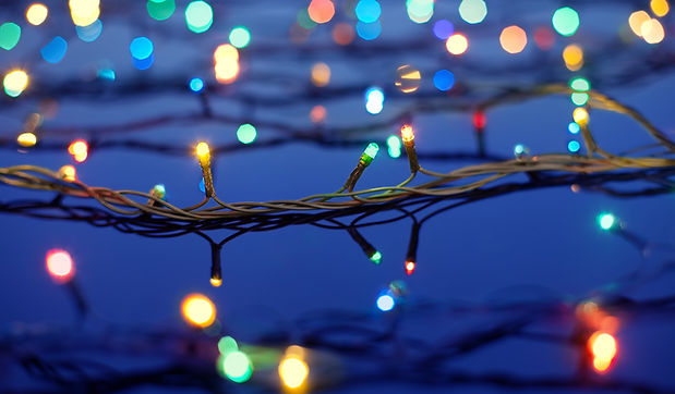 Christmas Lights on Trees