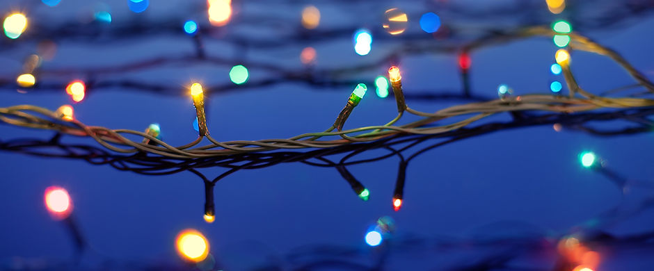 Christmas Lights on Trees
