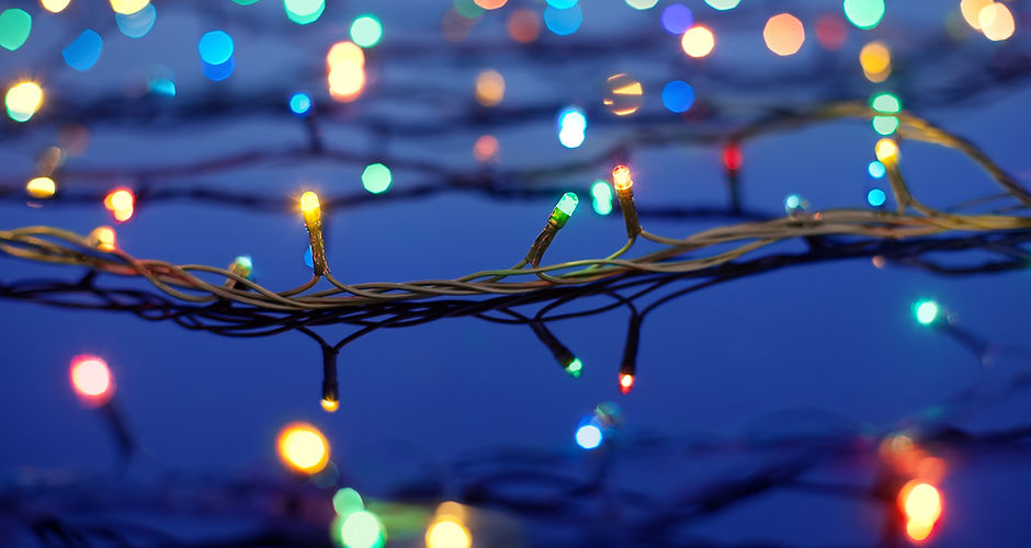 Les lumières de Noël sur les arbres