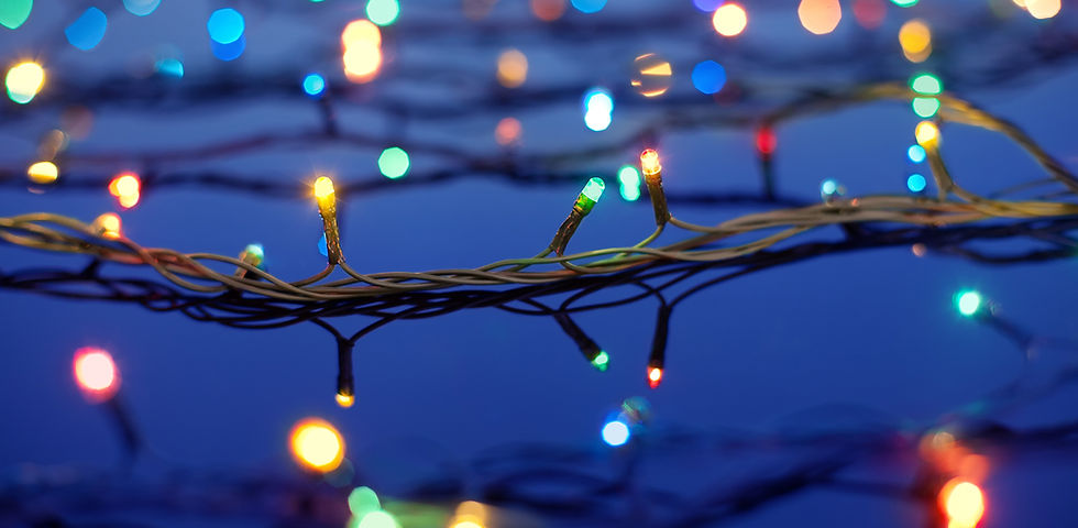 Christmas Lights on Trees
