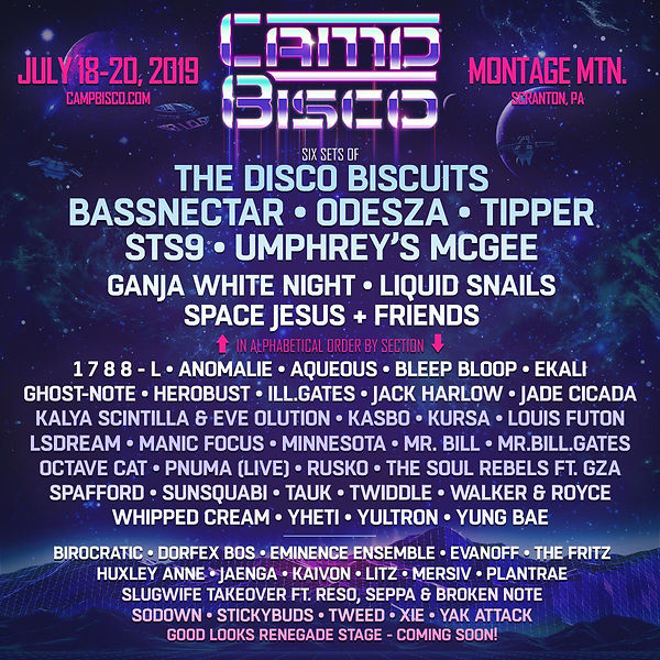 lineup camp bisco.jpg