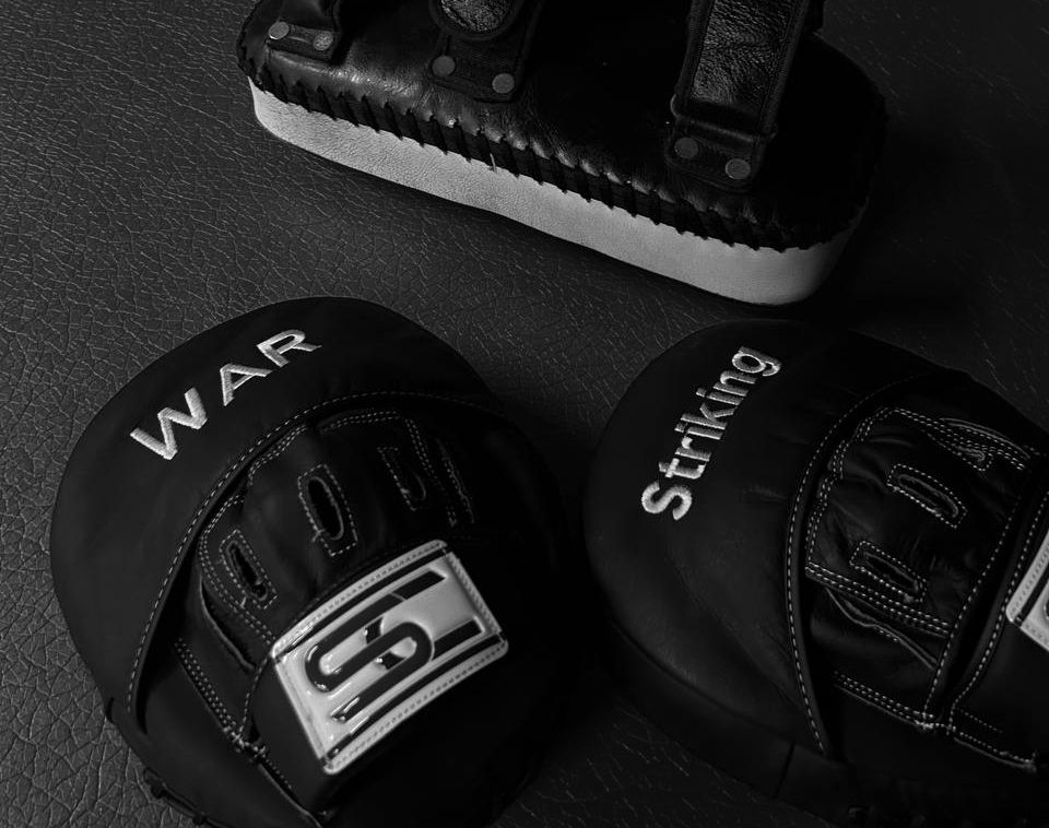 Kickboxing Pads