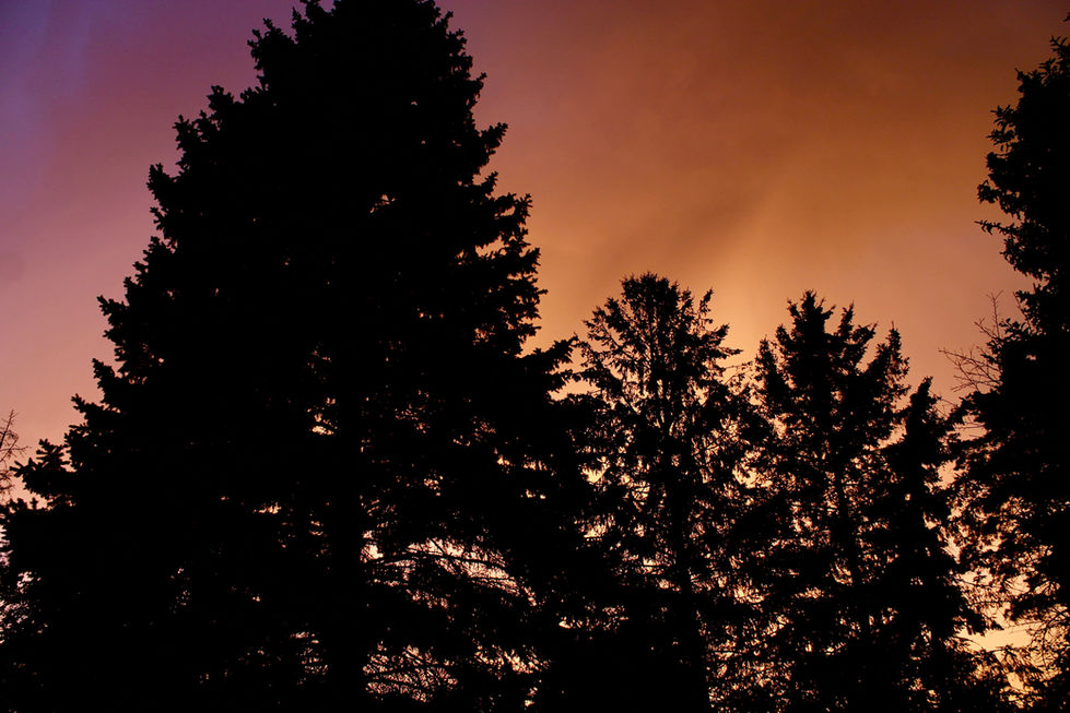 530685C9-DB04-4F0C-8BE2-7B5EBB51BC5B_1_201_a.jpeg