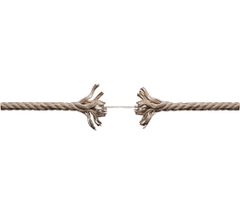 download (1).png