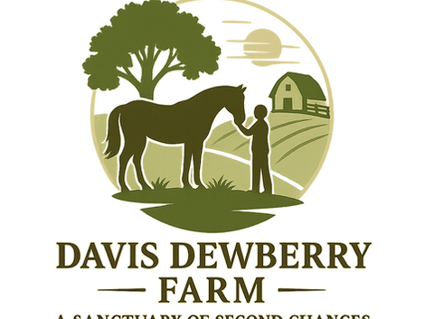 “A Christmas Rescue — The Story of Blue Jeans and the Ones We Couldn’t Save”