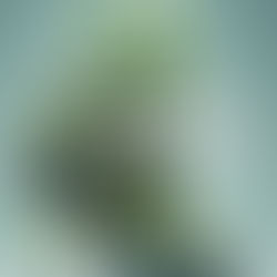 De Lange Hordenloop – wat VvE’s leren over verduurzamen