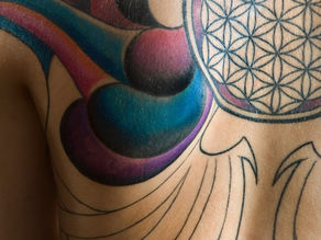 Bedende Kaç Adet Diyafram Kası Var?