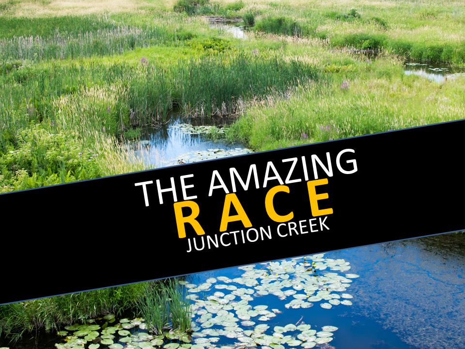 Junction Creek Amazing Race 2019