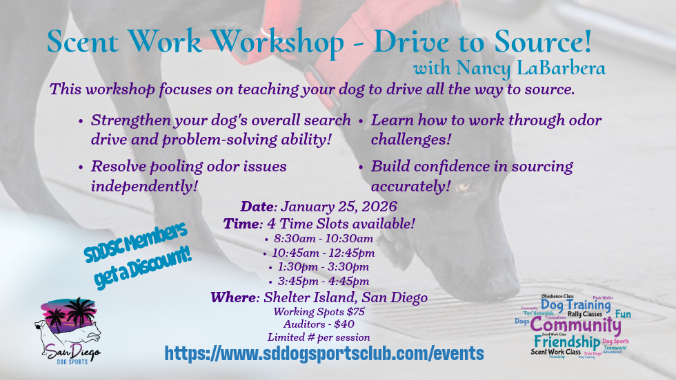 Scent Work - Drive to Source Workshop