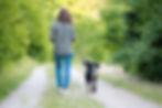 Karin-Daniel-Mojo-Loan-5211_web.jpg