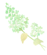グリーんリーフ.png