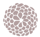 22043217.png