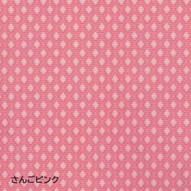 サムネイル： 車載が多い方にもおすすめの軽量多機能モデル　自走用　ふわりす＋KFP22-40(42)SB【中床】