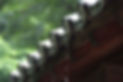 24215822_s.jpg
