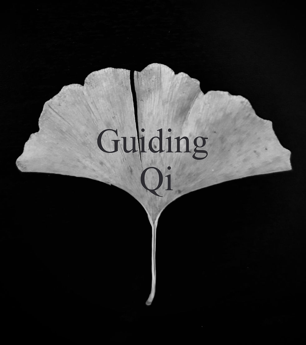Master Jim Nance:What is Guiding Qi?