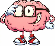 brain.webp