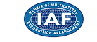 IAF LOGO.png