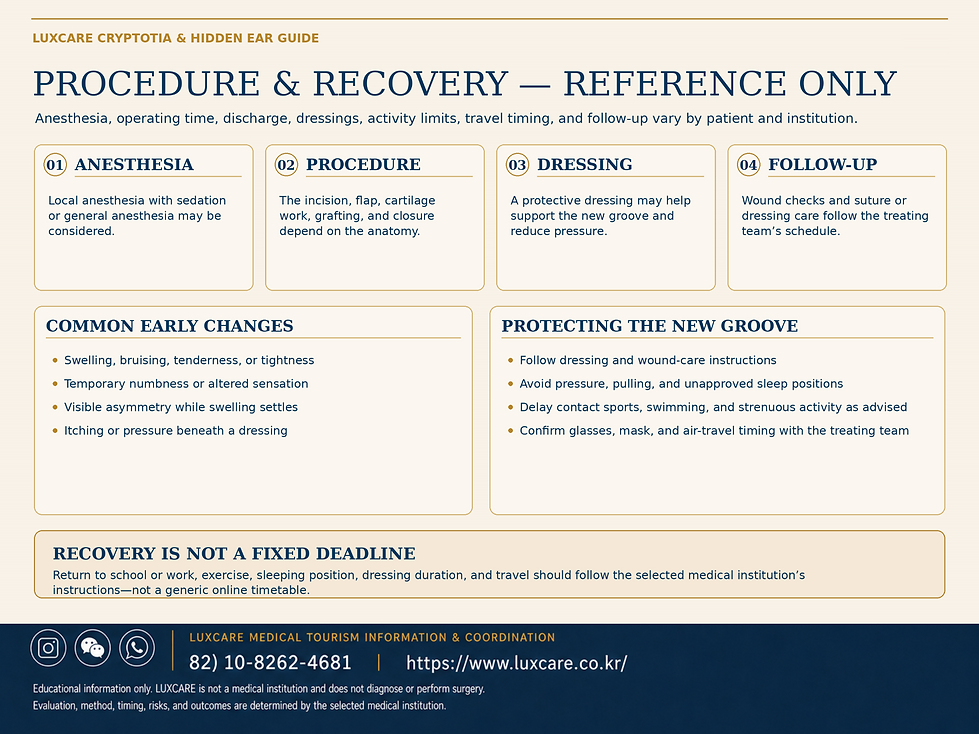 05_cryptotia_procedure_recovery_reference_en_2880x2160_NO_PAGE_BADGE.png