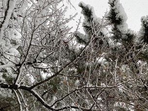 How To Survive Winter in Korea: A Guide For Tropic Buddy