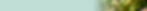 meio ambiente banner.jpg