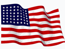 Flag.gif