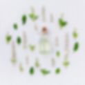Holy Basil Oil
