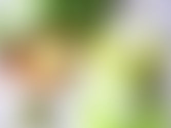 Trà sữa matcha - Thức uống đầy quyến rũ và dư vị đặc trưng