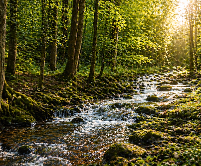 creek photo design.png