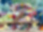 IMG_1925.jpeg
