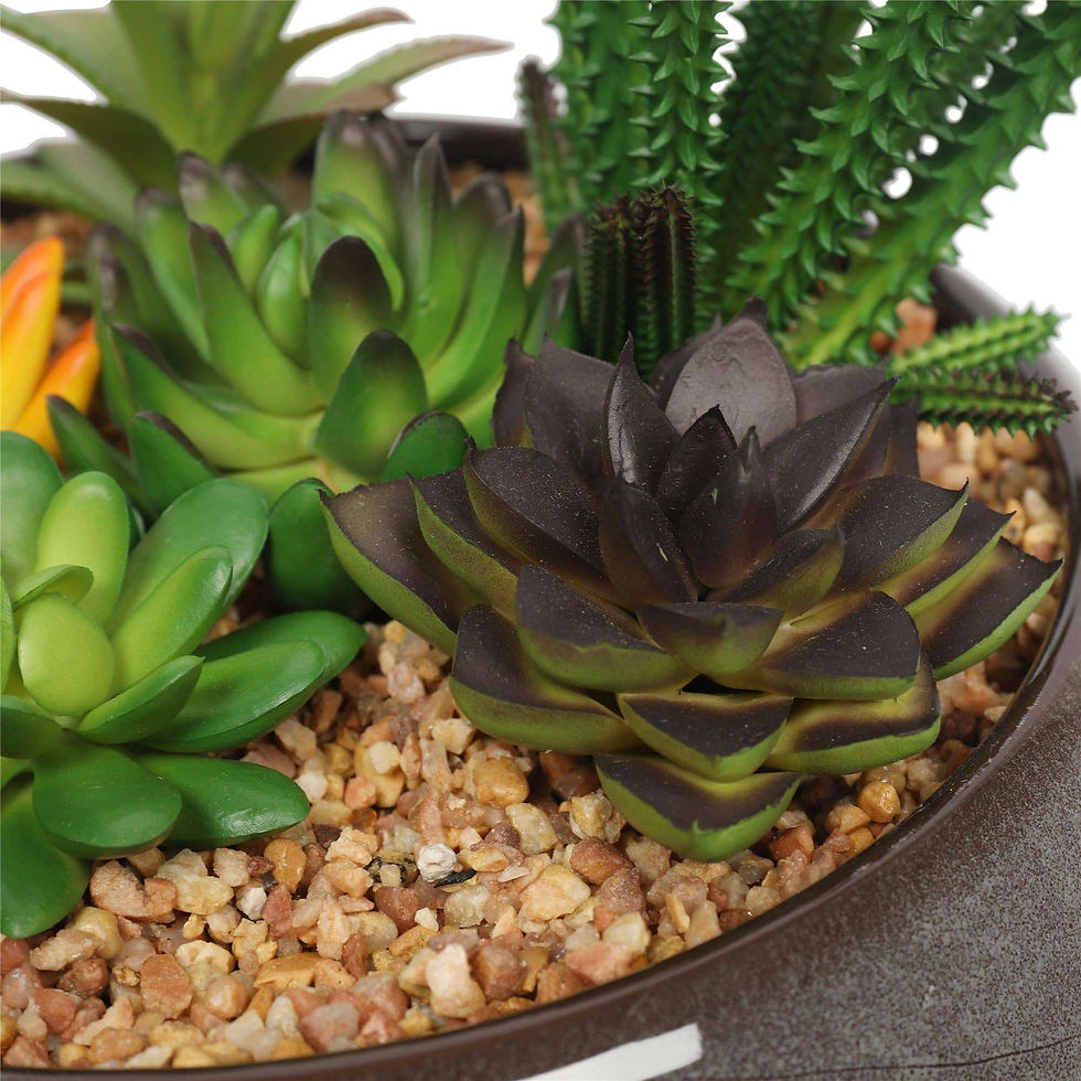 Thumbnail: Potted Artificial Succulents With Round Decorative Bowl 19cm
