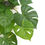 Thumbnail: Decorative Ceramic Bowl Potted Artificial Monstera Plant 30cm