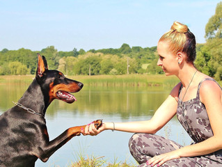 Why Your Dog has more Friends Than You