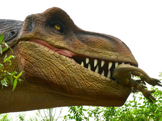 Is Your Business Facing Extinction or Evolution?