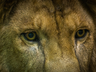 7 Ways Bad Ass People Succeed In Sales