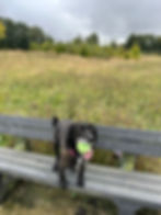 19c7220b-bb88-4f9a-a8d5-d35ecf8e4eb0