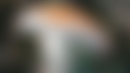 Distributor Resmi Parasut Paralayang Ozone dengan Produk Berkualitas