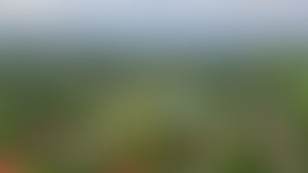 Rekomendasi Tempat Wisata Camping di Bogor, Fasilitas Lengkap