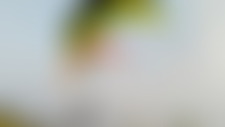 Paralayang Piramida Rowosari, Terbang Di Atas Bangunan Penuh Misteri