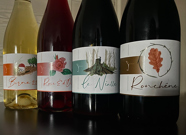 bouteilles de vins