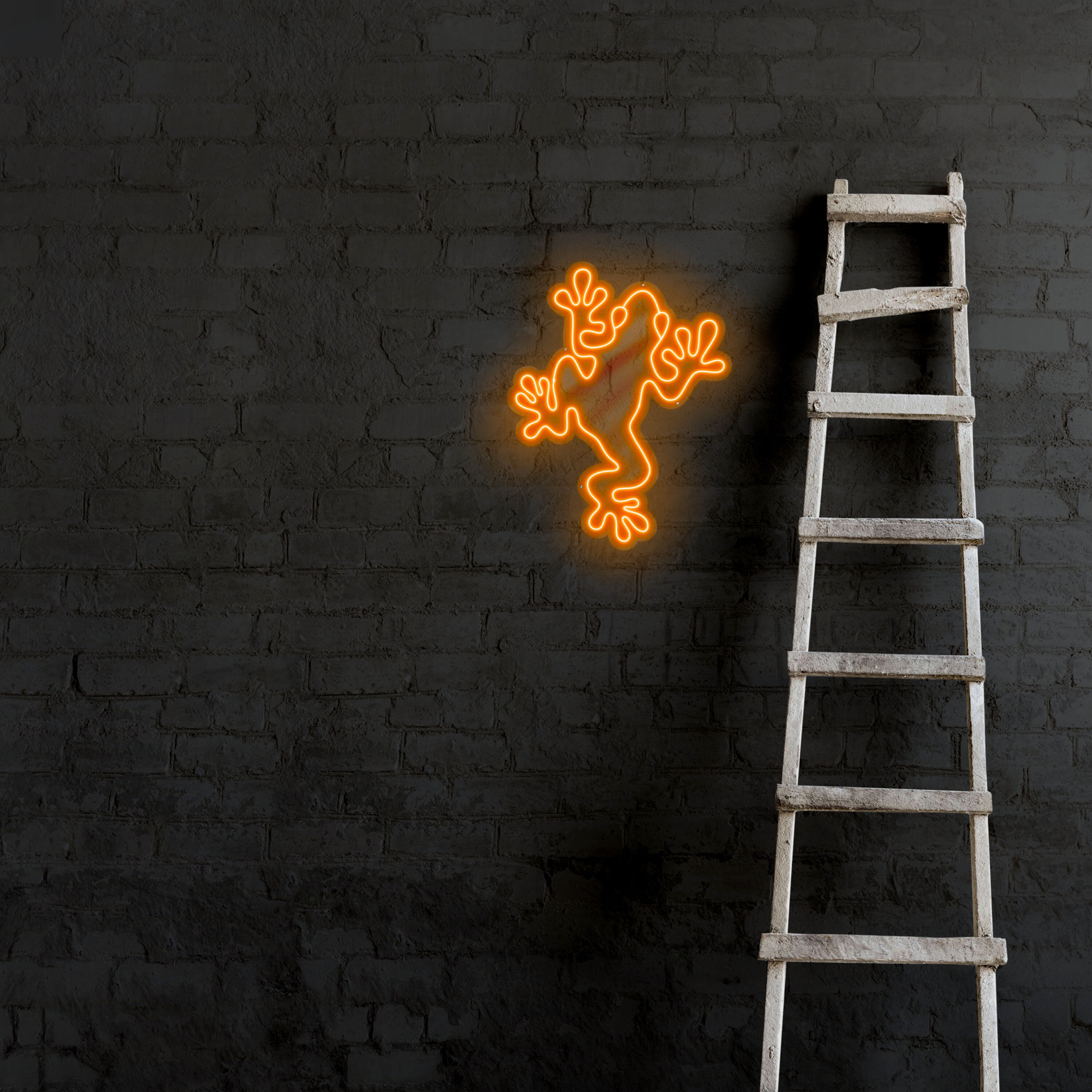 Frog - Illuminated Led Neon Sign