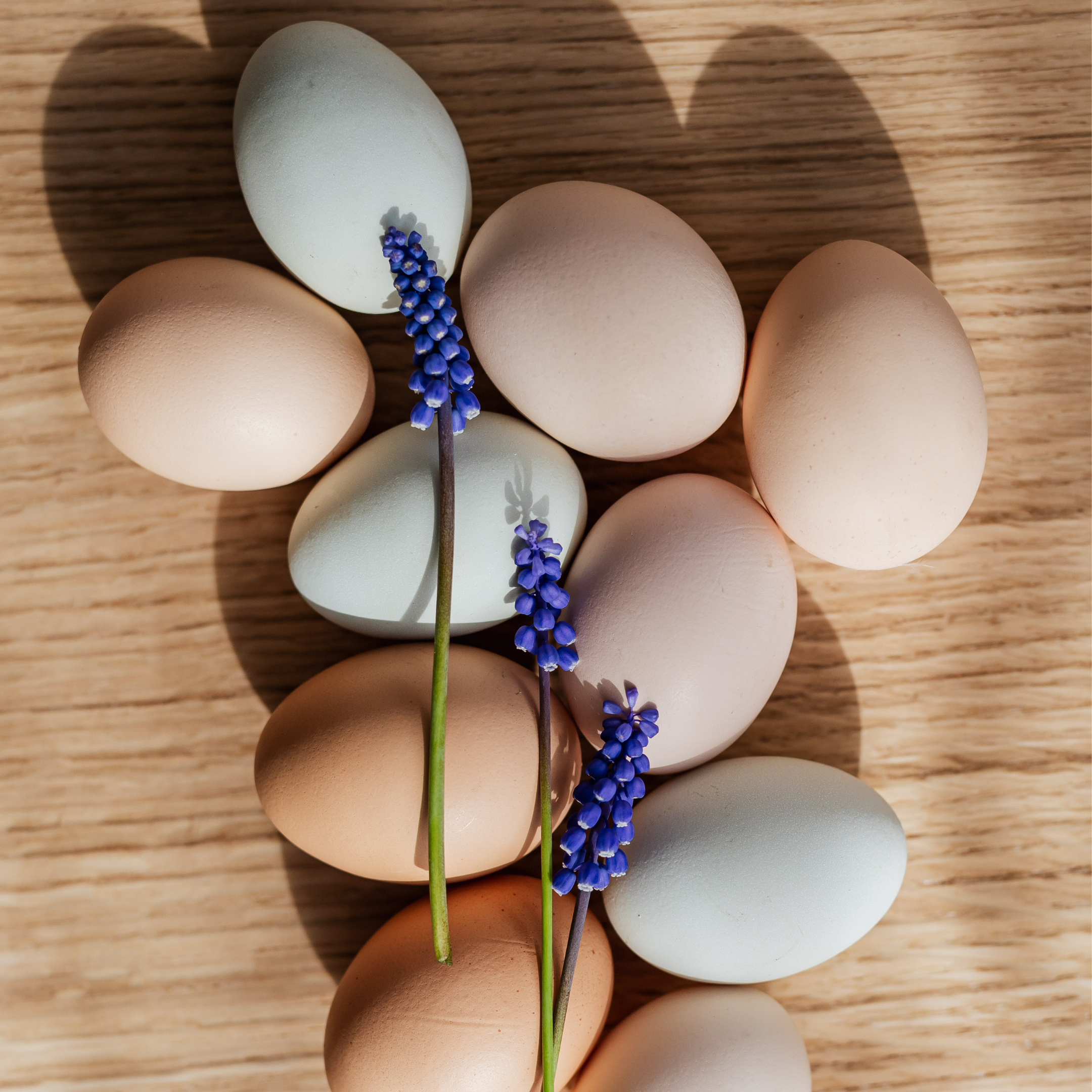 Egg Components and Calcium Subcomponents