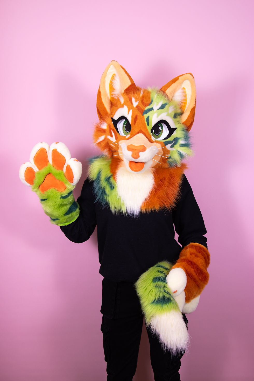 Mossy Tabby