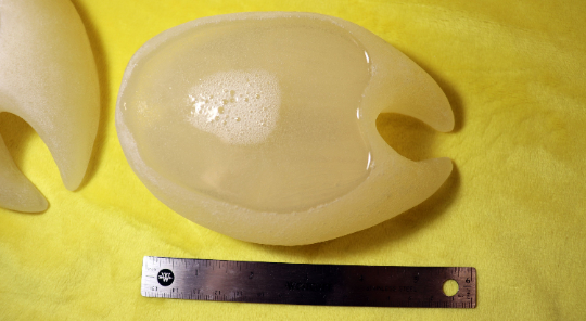 Thumbnail: Hoof Shoe Blanks | Resin Hoof