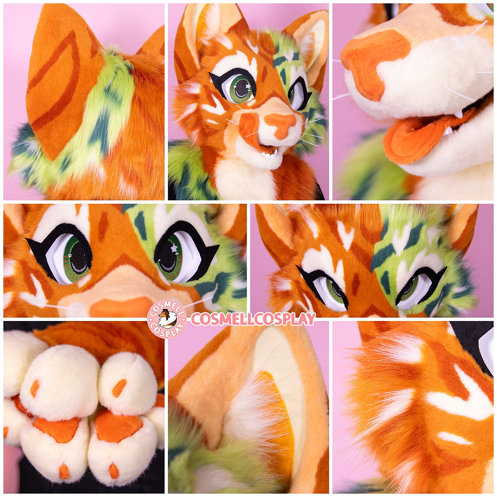 Mossy Tabby Details